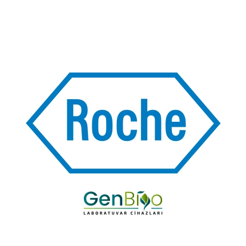 ROCHE