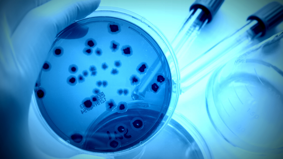 Mikrobiyoloji Cihazları